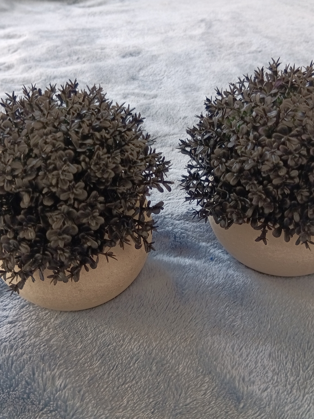 Set of Two Black Faux Topiary Plants in Cream Ceramic Pots - Picture 2 of 5